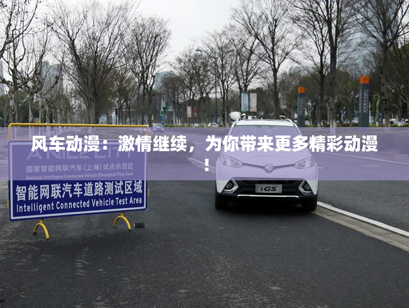 风车动漫：激情继续，为你带来更多精彩动漫！