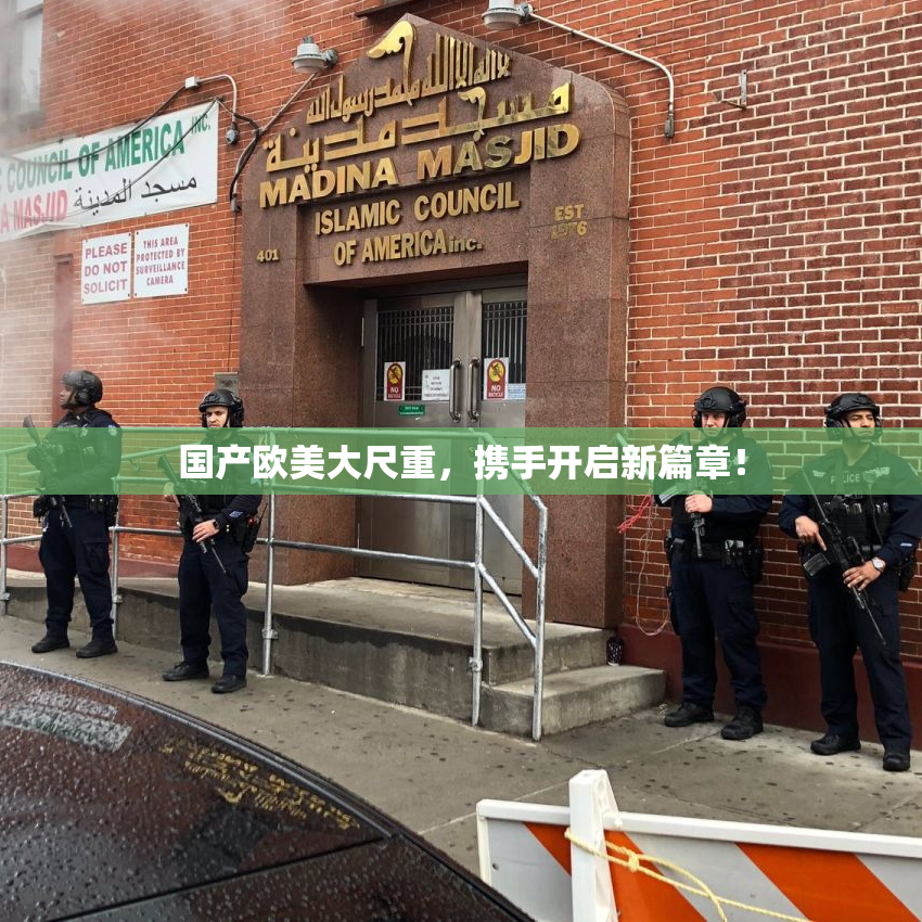 国产欧美大尺重，携手开启新篇章！