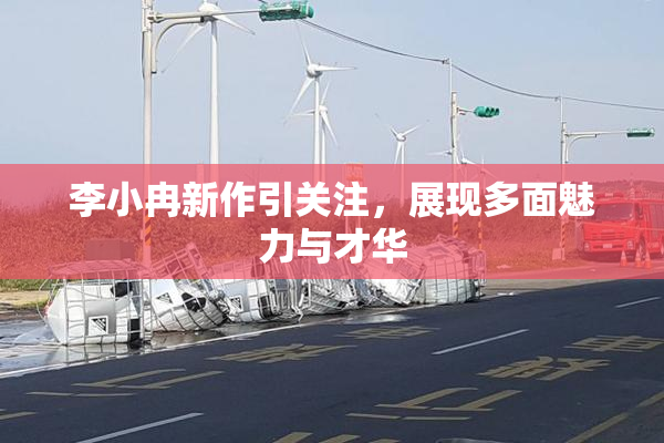 李小冉新作引关注，展现多面魅力与才华