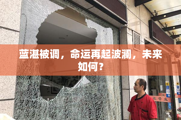 蓝湛被调，命运再起波澜，未来如何？