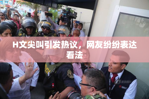 H文尖叫引发热议，网友纷纷表达看法
