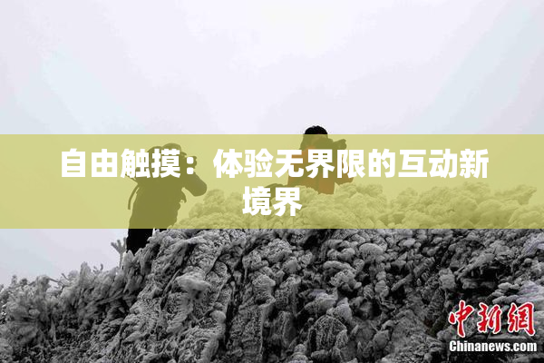 自由触摸：体验无界限的互动新境界