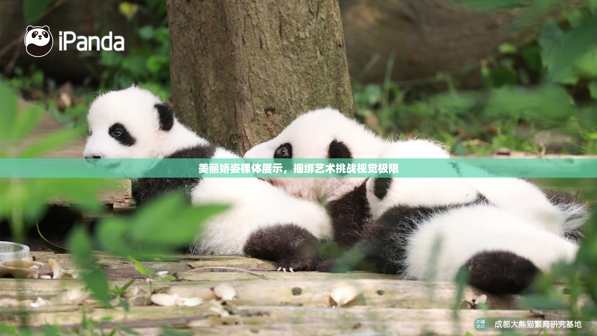 美丽娇姿裸体展示，捆绑艺术挑战视觉极限