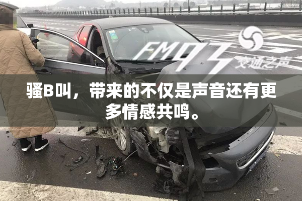 骚B叫，带来的不仅是声音还有更多情感共鸣。