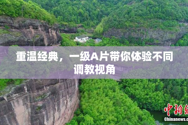 重温经典，一级A片带你体验不同调教视角