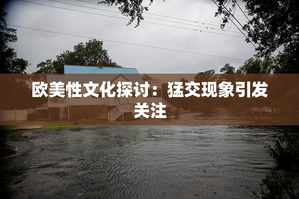 欧美性文化探讨：猛交现象引发关注