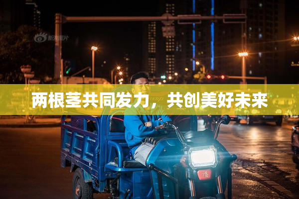 两根茎共同发力，共创美好未来