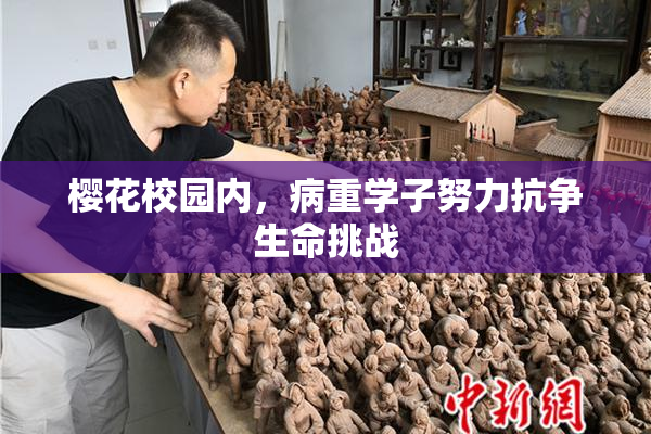 樱花校园内，病重学子努力抗争生命挑战