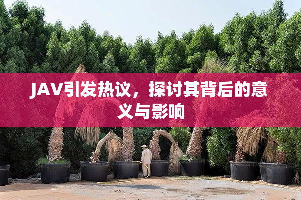 JAV引发热议，探讨其背后的意义与影响