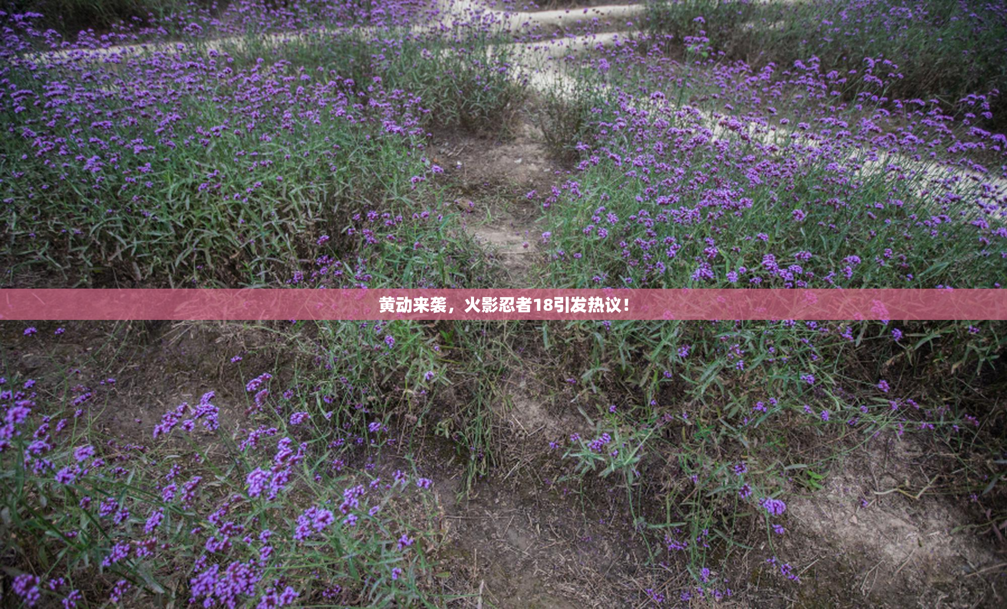 黄动来袭，火影忍者18引发热议！