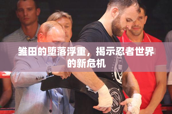 雏田的堕落浮重，揭示忍者世界的新危机