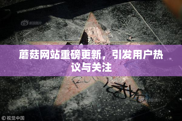 蘑菇网站重磅更新，引发用户热议与关注