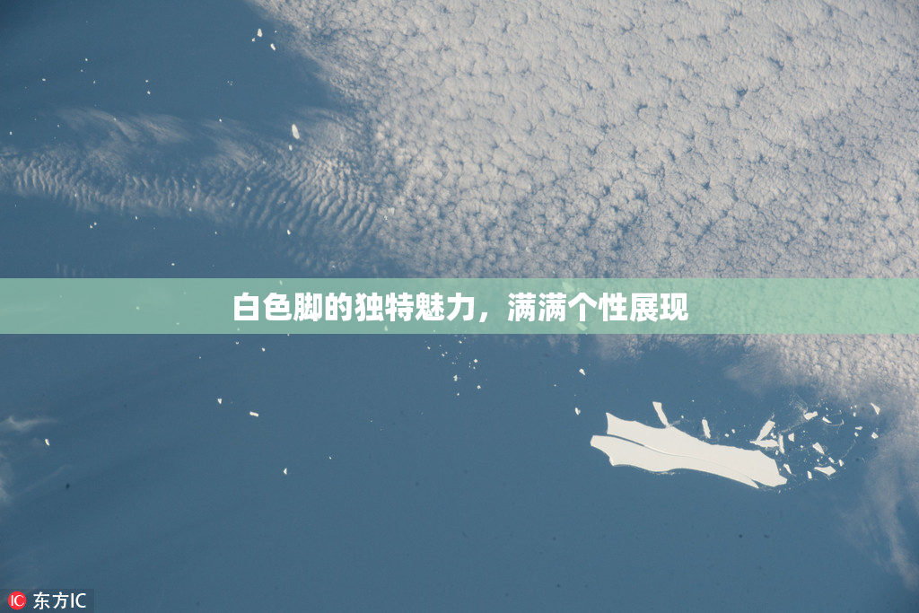 白色脚的独特魅力，满满个性展现