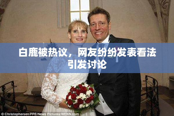 白鹿被热议，网友纷纷发表看法引发讨论