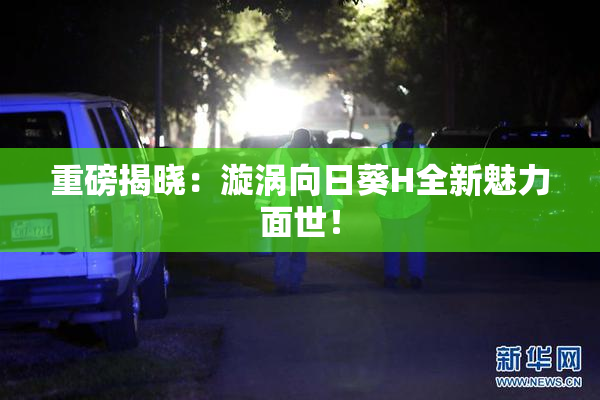 重磅揭晓：漩涡向日葵H全新魅力面世！