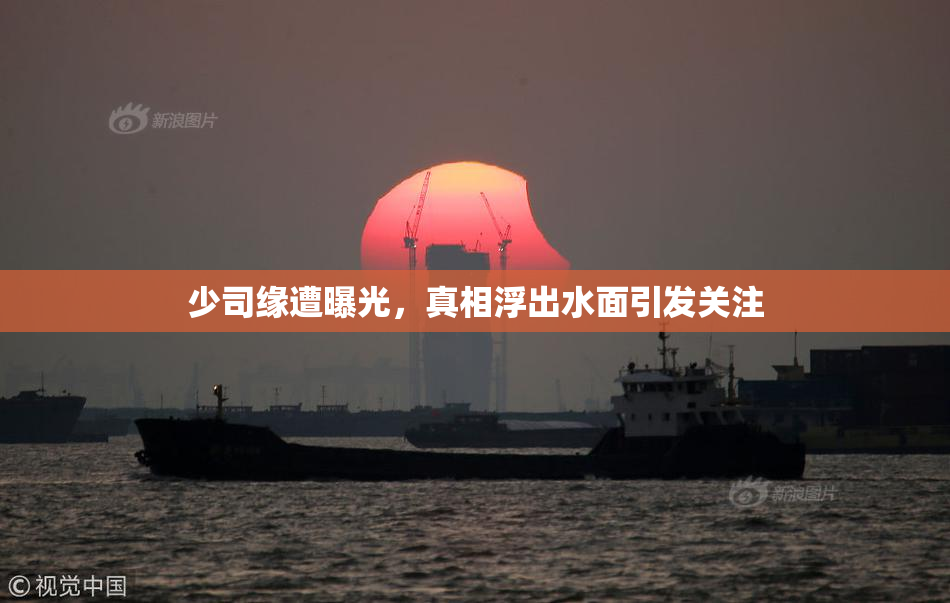 少司缘遭曝光，真相浮出水面引发关注