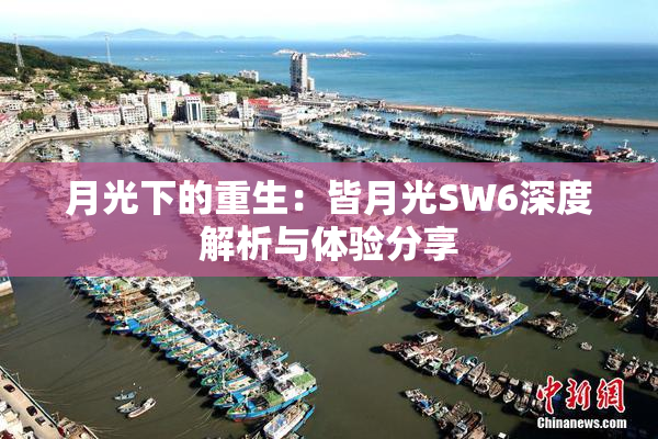 月光下的重生：皆月光SW6深度解析与体验分享