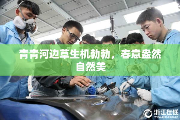 青青河边草生机勃勃，春意盎然自然美