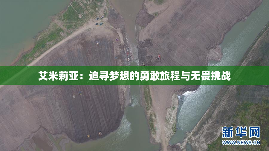 艾米莉亚：追寻梦想的勇敢旅程与无畏挑战