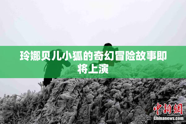 玲娜贝儿小狐的奇幻冒险故事即将上演