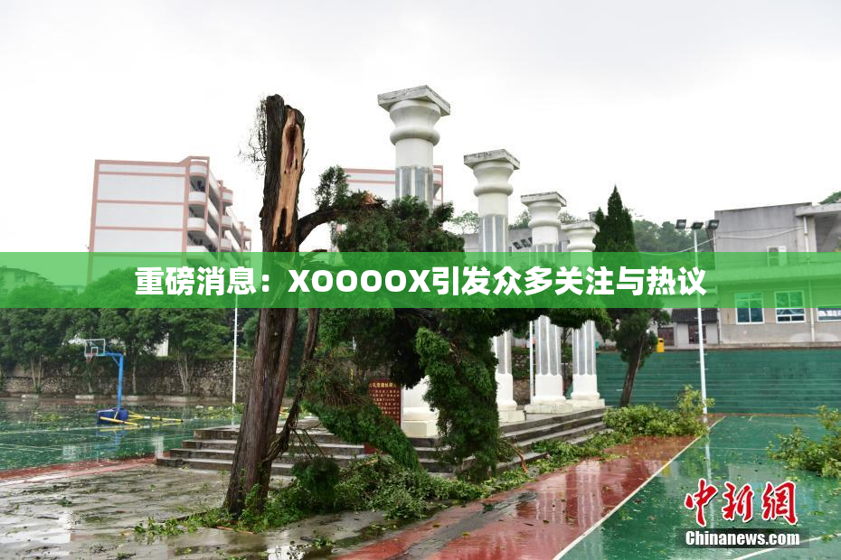 重磅消息：XOOOOX引发众多关注与热议