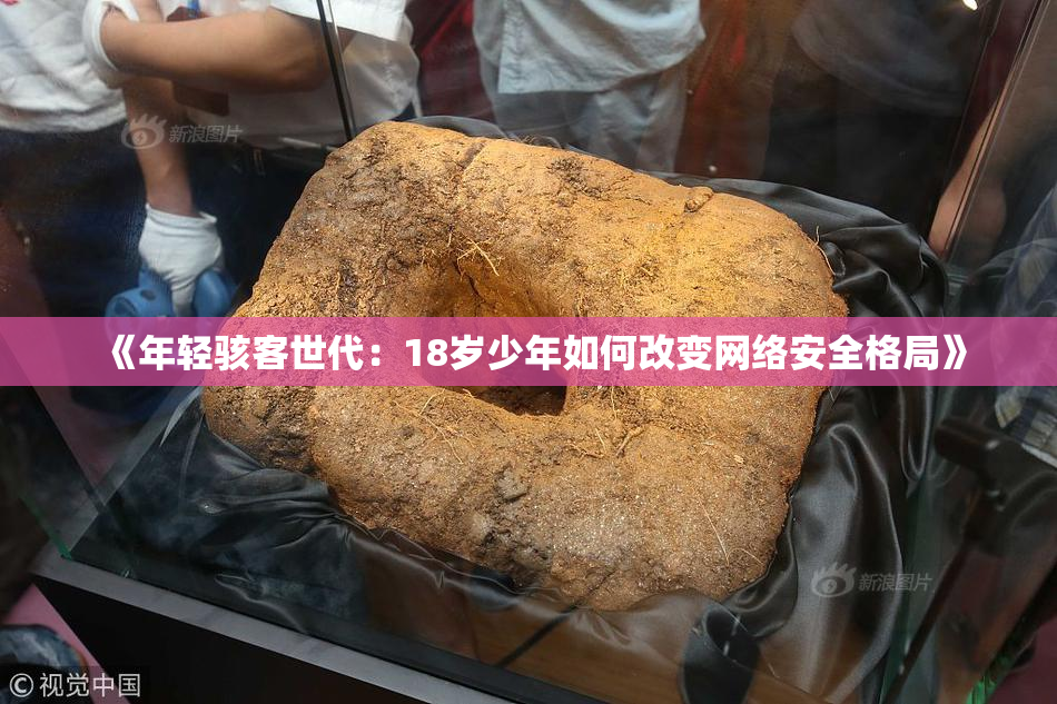 《年轻骇客世代：18岁少年如何改变网络安全格局》