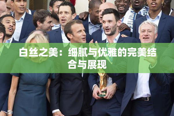 白丝之美：细腻与优雅的完美结合与展现