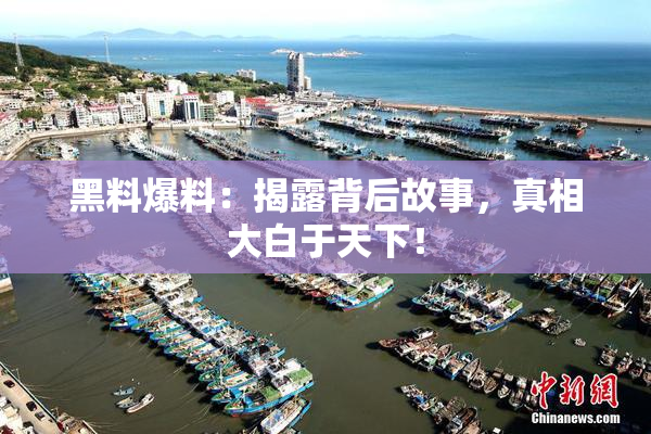 黑料爆料：揭露背后故事，真相大白于天下！