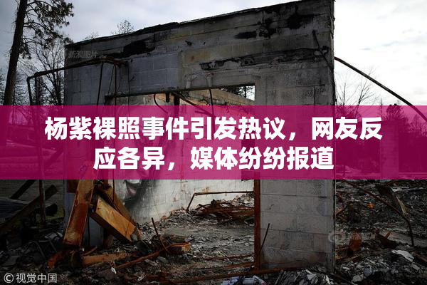 杨紫裸照事件引发热议，网友反应各异，媒体纷纷报道