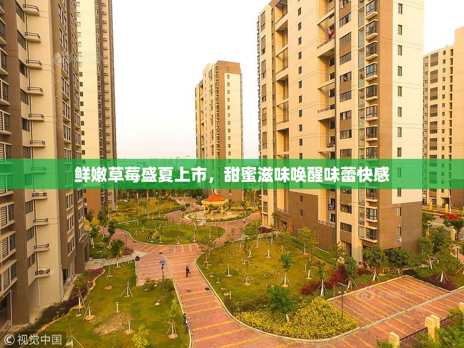 鲜嫩草莓盛夏上市，甜蜜滋味唤醒味蕾快感