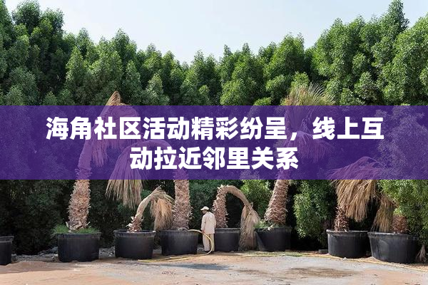 海角社区活动精彩纷呈，线上互动拉近邻里关系