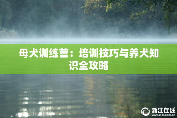 母犬训练营：培训技巧与养犬知识全攻略