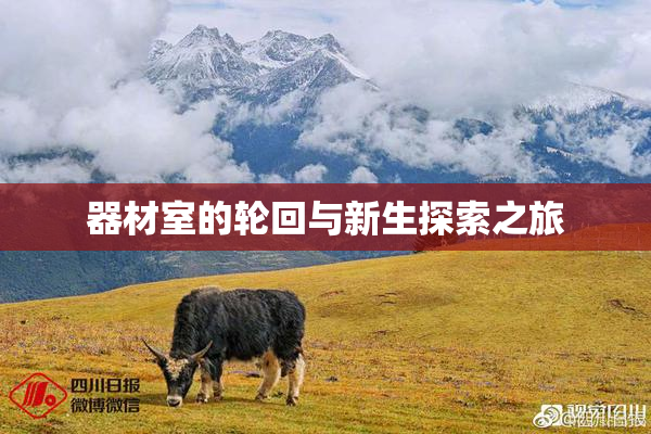器材室的轮回与新生探索之旅