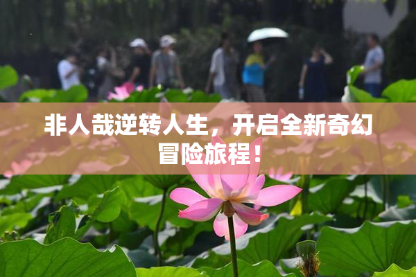 非人哉逆转人生，开启全新奇幻冒险旅程！