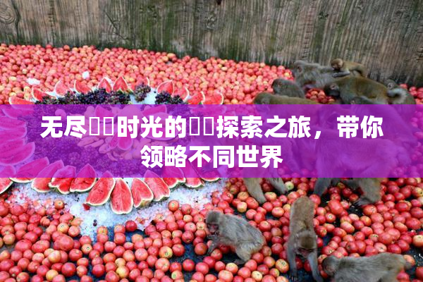 无尽❌‌时光的❌‌探索之旅，带你领略不同世界