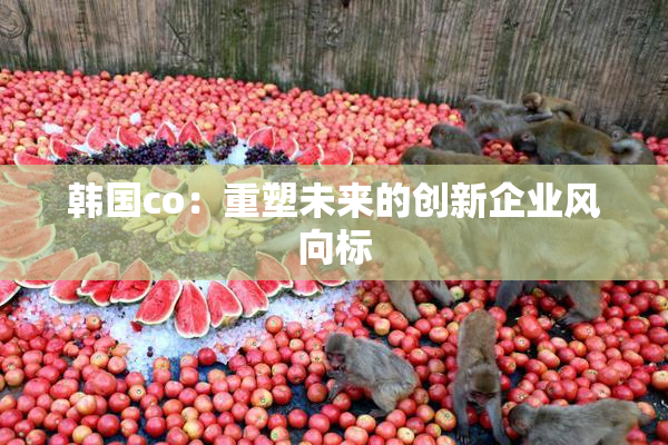 韩国co：重塑未来的创新企业风向标