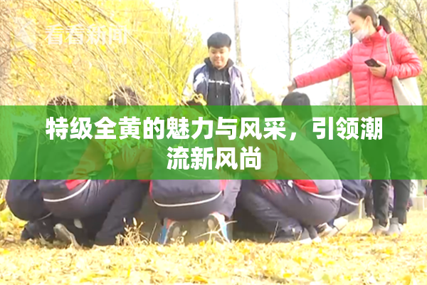 特级全黄的魅力与风采，引领潮流新风尚