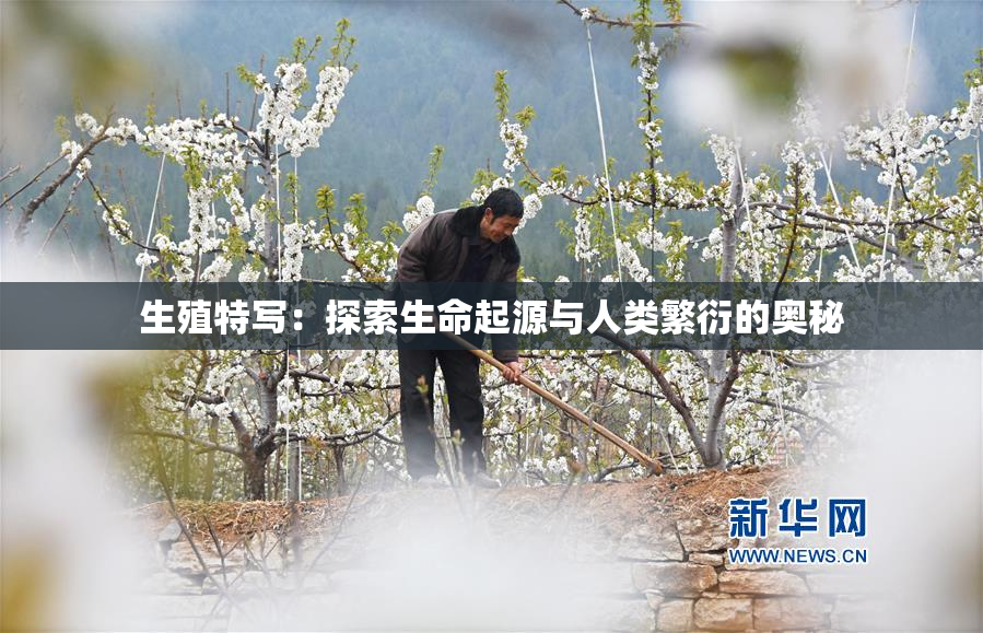 生殖特写：探索生命起源与人类繁衍的奥秘