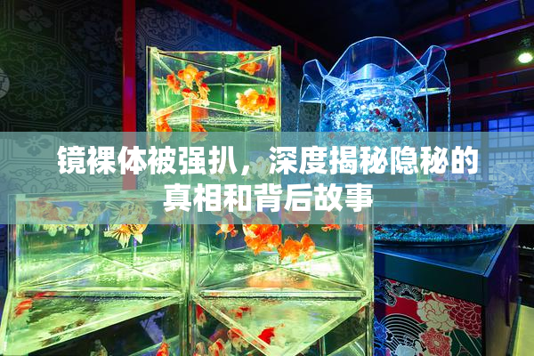 镜裸体被强扒，深度揭秘隐秘的真相和背后故事