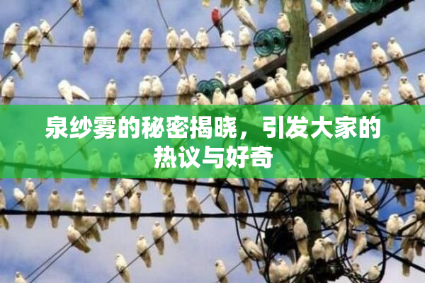 泉纱雾的秘密揭晓，引发大家的热议与好奇