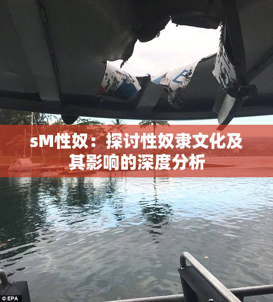 sM性奴：探讨性奴隶文化及其影响的深度分析