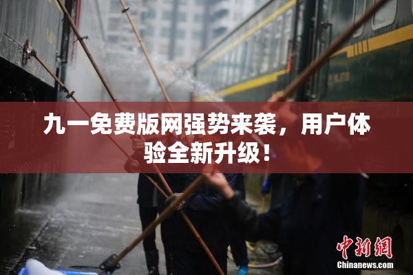 九一免费版网强势来袭，用户体验全新升级！