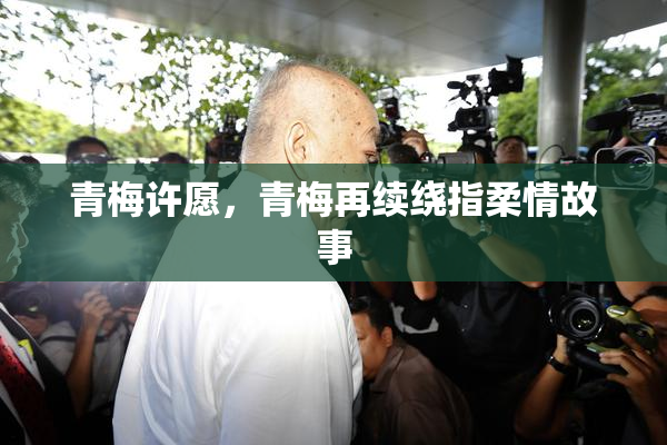 青梅许愿，青梅再续绕指柔情故事