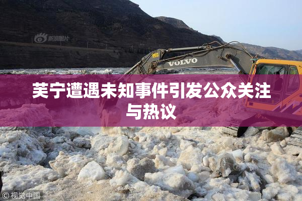 芙宁遭遇未知事件引发公众关注与热议