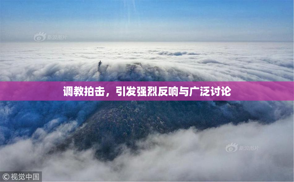 调教拍击，引发强烈反响与广泛讨论