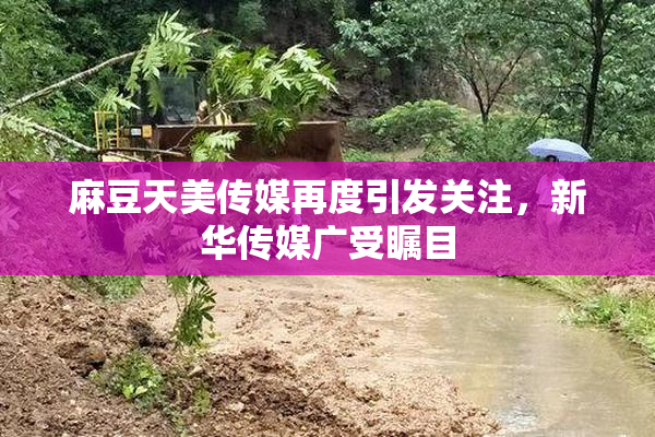 麻豆天美传媒再度引发关注，新华传媒广受瞩目