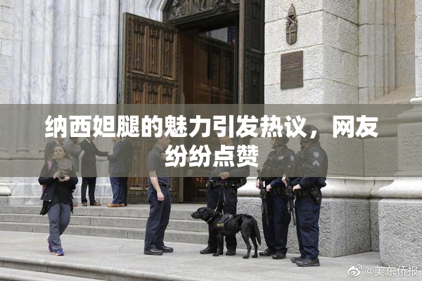 纳西妲腿的魅力引发热议，网友纷纷点赞