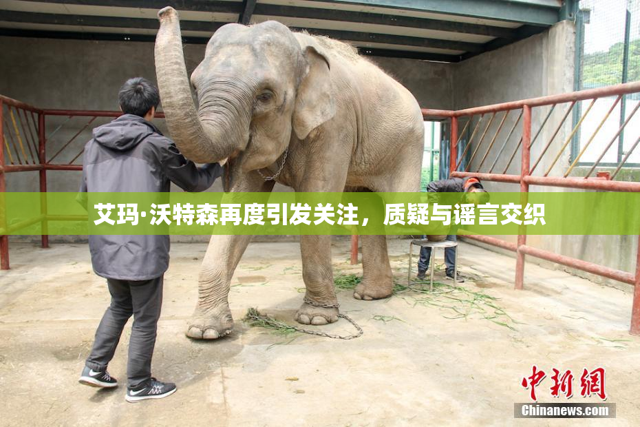 艾玛·沃特森再度引发关注，质疑与谣言交织
