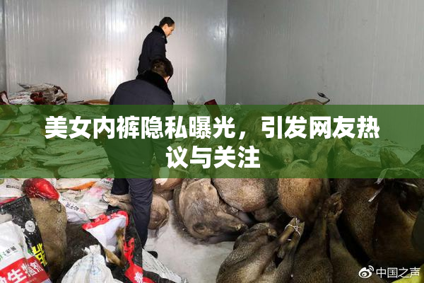 美女内裤隐私曝光，引发网友热议与关注