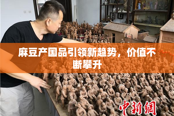 麻豆产国品引领新趋势，价值不断攀升